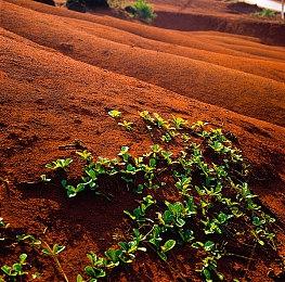 《赛博朋克2077》“Steam Deck”预设画质似乎翻车了